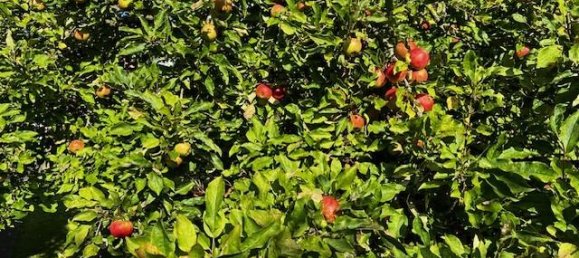 3 chambres Maison à Lubeck, Germany No. 290311 4