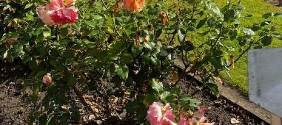 3 chambres Maison à Lubeck, Germany No. 290311 5