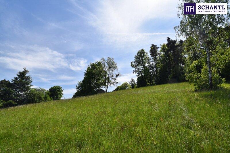 Terreno en Andritz, Austria No. 250987