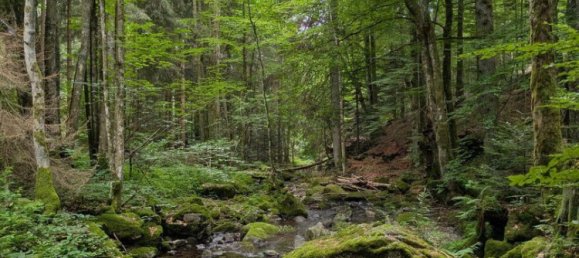 Propiedad comercial en Klaffer am Hochficht, Austria 255 m² No. 218232 40