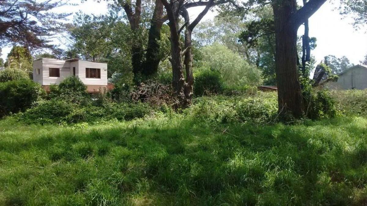  Land in Mar del Plata, Argentina No. 119134