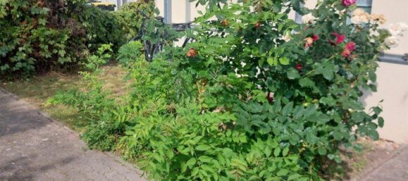 2 rooms Apartment in Leipzig, Germany No. 227441 2