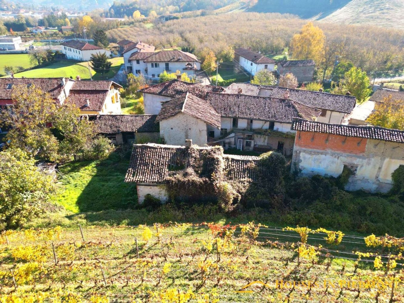 6-salle Maison à Dogliani, Italy No. 171841