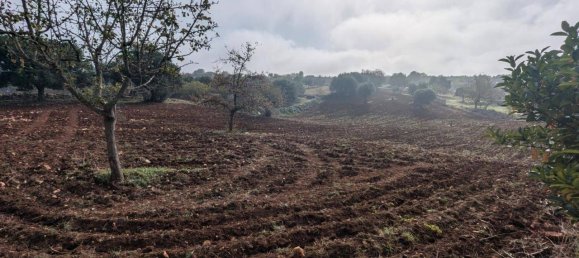 5-salle Villa à Martina Franca, Italy No. 41967 20