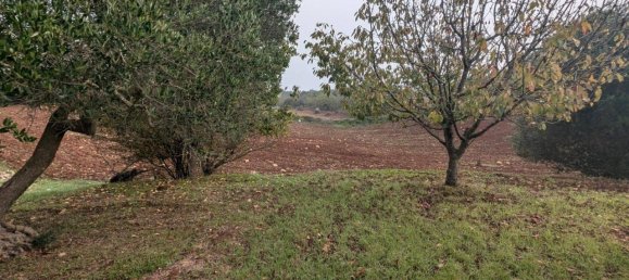 5-salle Villa à Martina Franca, Italy No. 41967 8