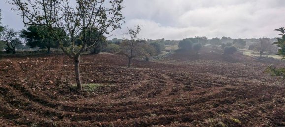 5-salle Villa à Martina Franca, Italy No. 41967 5