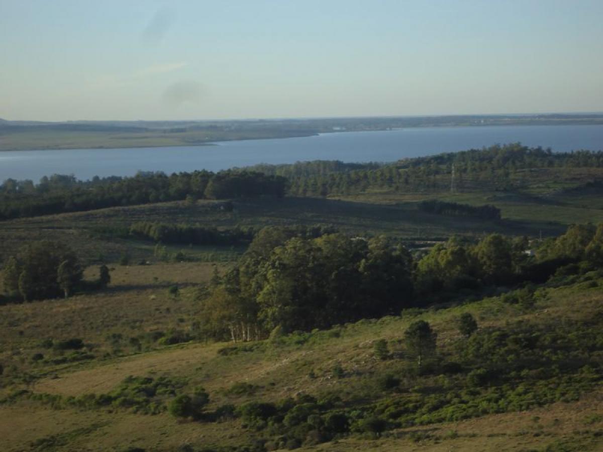 53m² Farm in Maldonado, Uruguay No. 15263