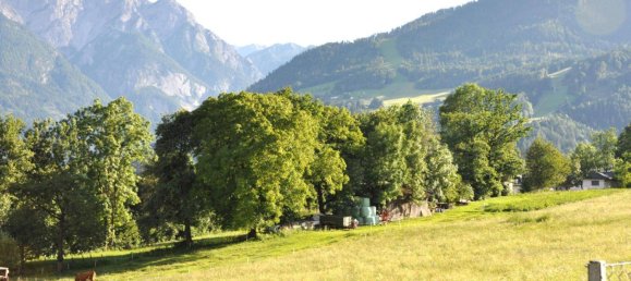 Grundstück in Gaimberg, Austria 650m², Nr. 241064 3