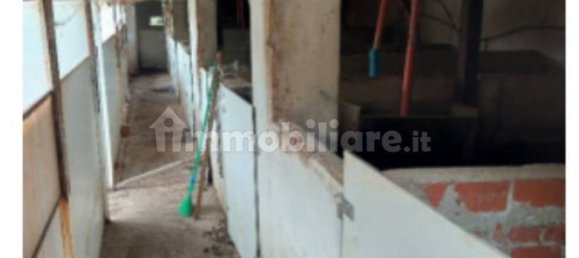 3-Zimmer Haus in Vicoforte, Italy, Nr. 324632 11