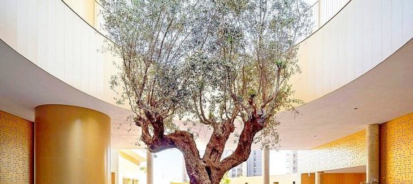 2 bedrooms Apartment in Benidorm, Spain No. 14566 19