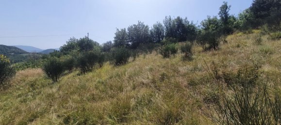 11 غرف نوم شقة في Urbania, Italy رقم 86875 33