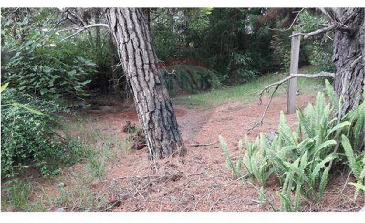  Land in Mar del Plata, Argentina No. 113123