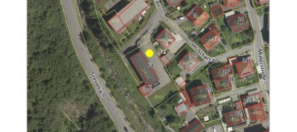 Дом с 4 комнатами в Дорнбирн, Австрия № 248535 30