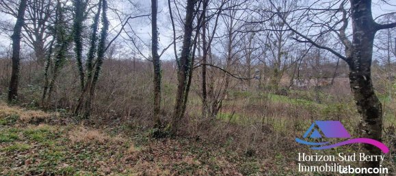 Casa de 9 dormitorios en Saint-Jeanvrin, France No. 58428 20