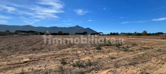 5060m² Land in San Felice Circeo, Italy No. 333940 4