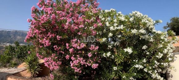 3 Schlafzimmer Haus in Canillas de Aceituno, Spain, Nr. 189686 8