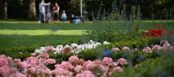 Duplex T1 em Pankow, Germany N.º 93639 10