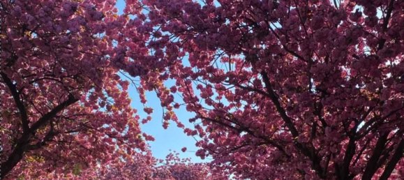 4 غرف نوم تاون هاوس في Main-Taunus, Germany رقم 205019 18