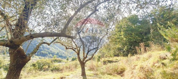 1غرفة قطعة أرض في Ortovero, Italy رقم 110658 23