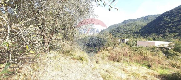 1غرفة قطعة أرض في Ortovero, Italy رقم 110658 25