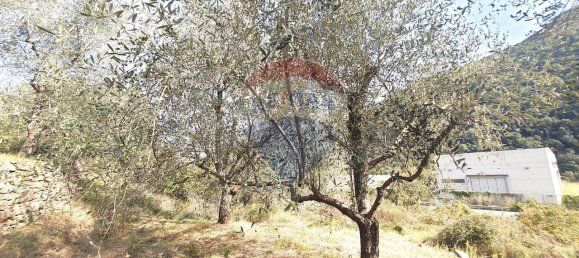 1غرفة قطعة أرض في Ortovero, Italy رقم 110658 21