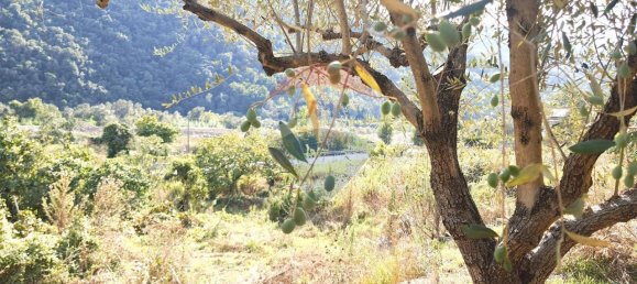 1غرفة قطعة أرض في Ortovero, Italy رقم 110658 26