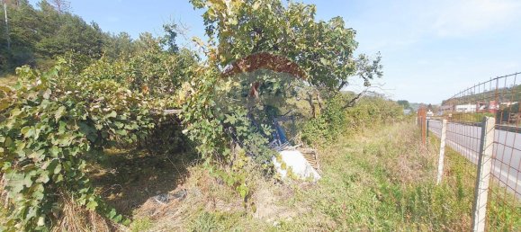 1غرفة قطعة أرض في Ortovero, Italy رقم 110658 14