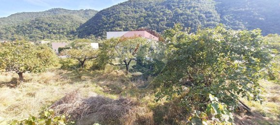 1غرفة قطعة أرض في Ortovero, Italy رقم 110658 17