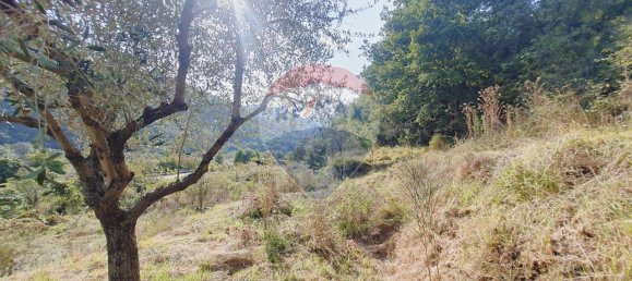 1غرفة قطعة أرض في Ortovero, Italy رقم 110658 19