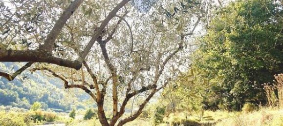 1غرفة قطعة أرض في Ortovero, Italy رقم 110658 24