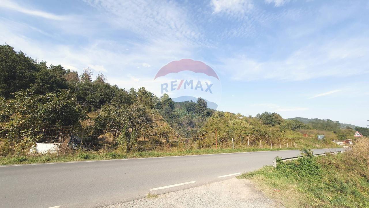 1غرفة قطعة أرض في Ortovero, Italy رقم 110658