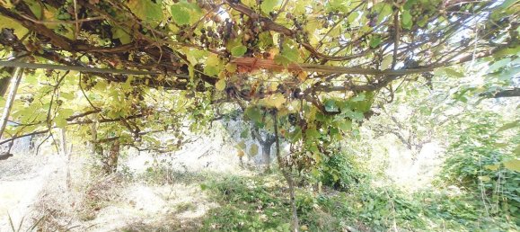 1غرفة قطعة أرض في Ortovero, Italy رقم 110658 15