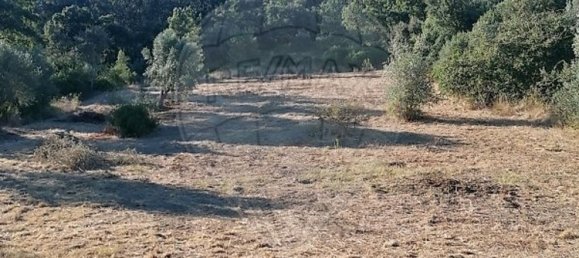 3 bedrooms House in Torres Novas, Portugal No. 174200 5