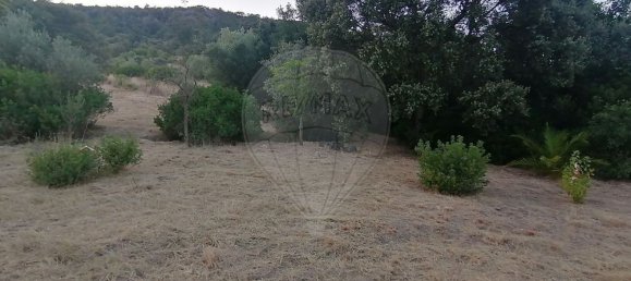 3 bedrooms House in Torres Novas, Portugal No. 174200 4