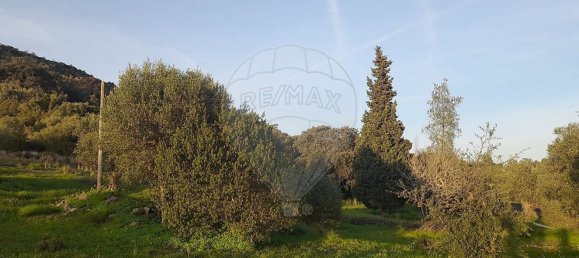 3 bedrooms House in Torres Novas, Portugal No. 174200 23