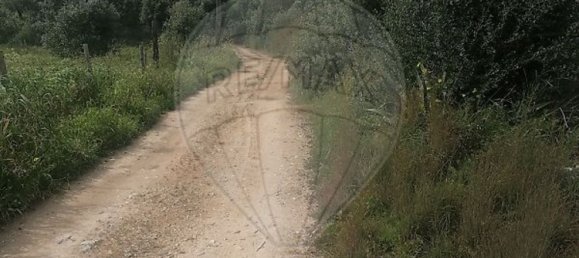 3 bedrooms House in Torres Novas, Portugal No. 174200 3