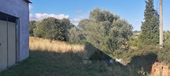 3 bedrooms House in Torres Novas, Portugal No. 174200 10