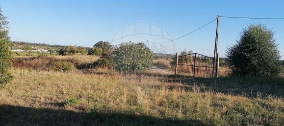 3 bedrooms House in Torres Novas, Portugal No. 174200 8