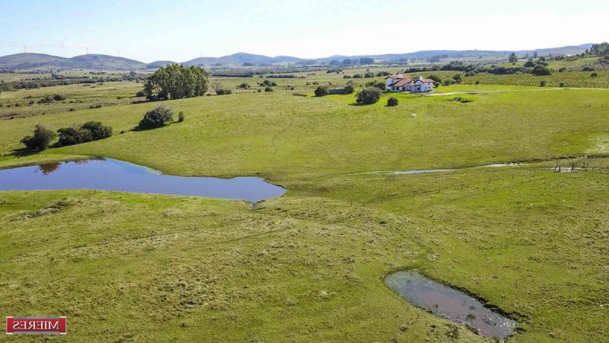  مزرعة في Maldonado, Uruguay رقم 15298