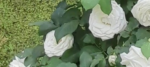 2 Schlafzimmer Haus in Vilia, Greece, Nr. 92910 4