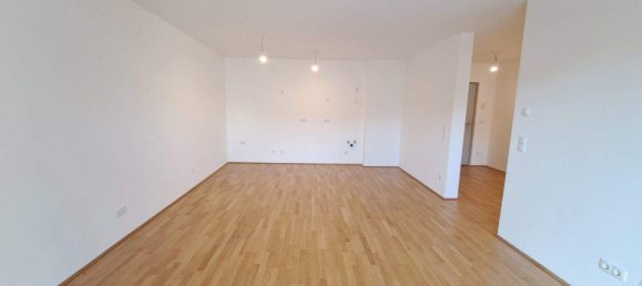 3 rooms Apartment in Deutsch-Wagram, Austria No. 254776 12