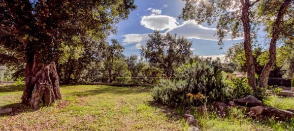 4 Schlafzimmer Villa in Conca, France, Nr. 51234 14