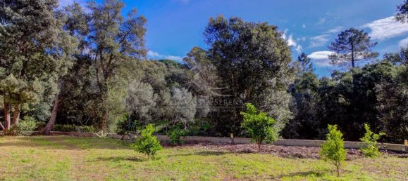 4 Schlafzimmer Villa in Conca, France, Nr. 51234 13