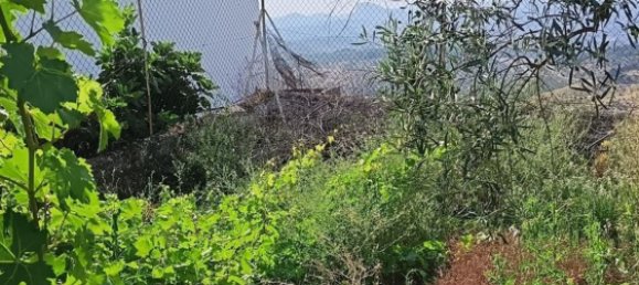 1 غرف نوم منزل في Cadiz, Spain رقم 161399 9