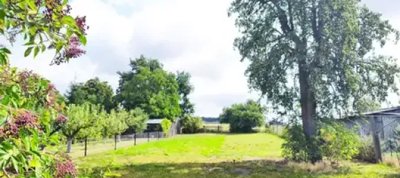 7 rooms Farm in Stendal, Germany No. 283942 2