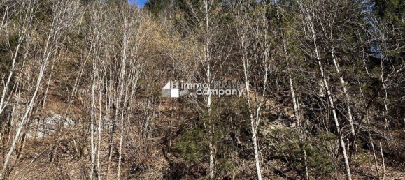 Terreno en Huttenberg, Austria 5672 m² No. 91446 3