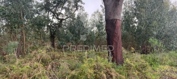 Grundstück in Palmela, Portugal 60000m², Nr. 68685 2