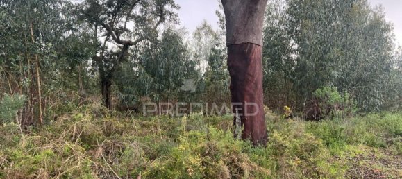 Grundstück in Palmela, Portugal 60000m², Nr. 68685 5