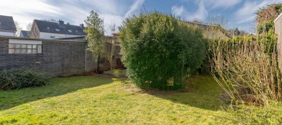 5 chambres Bâtiment à Rhein-Erft, Germany No. 131537 36