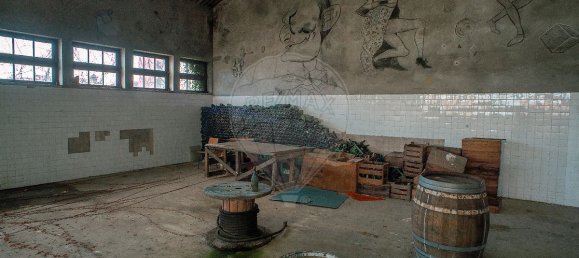 Lagerhaus in Cadaval, Portugal 4247m², Nr. 70619 4